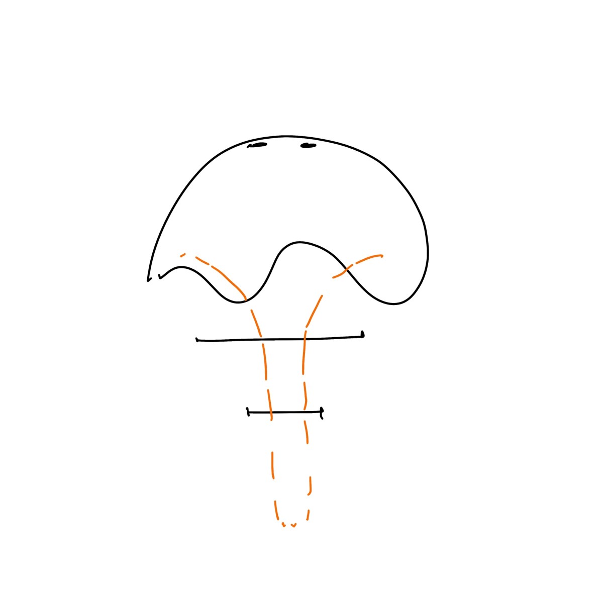 Jellyfish Pendant Light